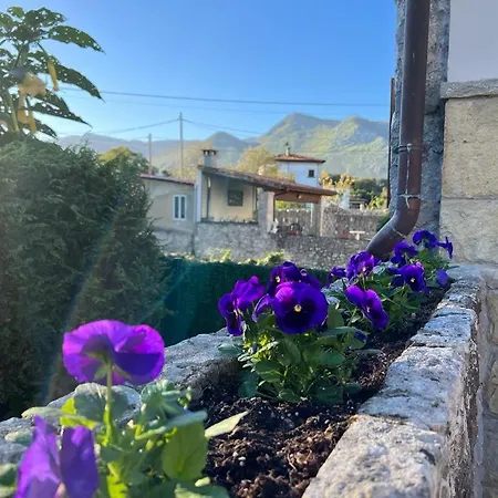 Tatil Evi D'eloisa *